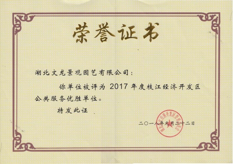 2017年度枝江市优胜单位